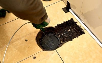 The 5 Most Common Signs Your Sewer Line Needs Professional Help