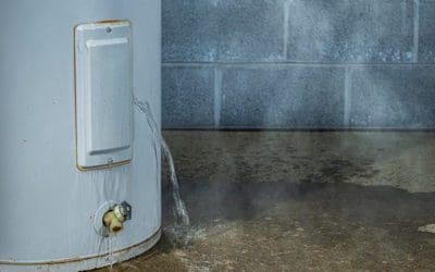 Panic or Patience? When to Call an Emergency Plumber in Sonoma