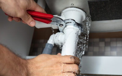 Burst Pipe in Sonoma? 5 Steps Before Prushko Plumbing Arrives