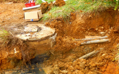 Don’t Wait for the Backup: Identifying the Subtle Signs of Septic Failure