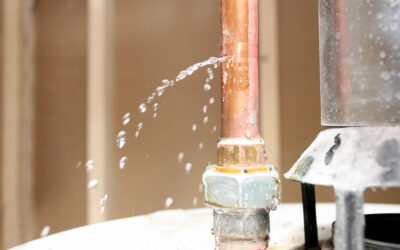 What to Do in a Plumbing Emergency While You Wait for Your Sonoma Plumber